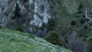 Εγκρίθηκε Ειδική Περιβαλλοντική Μελέτη για περιοχές Natura της Ηπείρου – Κλείνουν εκκρεμότητες 3 δεκαετιών