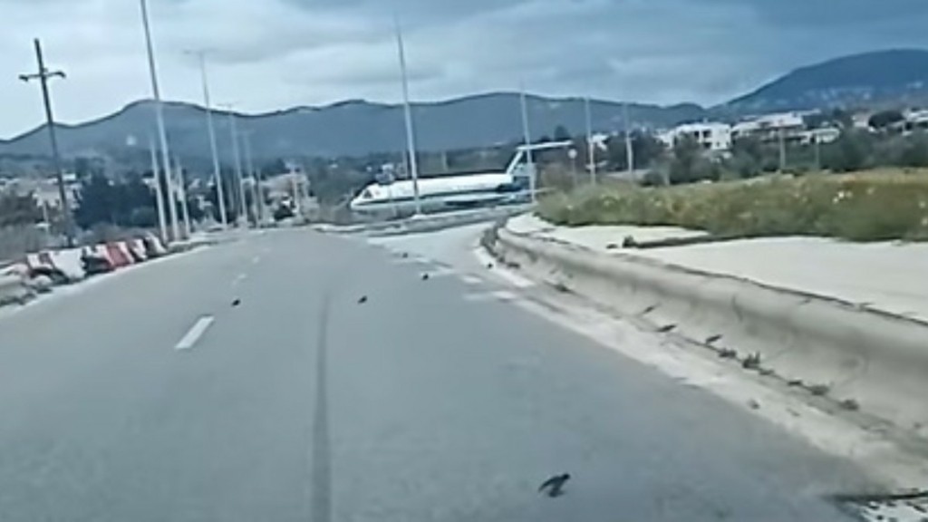 Λαύριο: Εκατοντάδες χελιδόνια πεσμένα στο οδόστρωμα – Δείτε το βίντεο