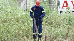 Ιωάννινα: Επιχειρήσεις διάσωσης πέντε κτηνοτρόφων σε Τζουμέρκα και Ζαγόρι