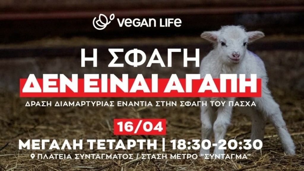 «Η σφαγή δεν είναι αγάπη»: Διαμαρτυρία για ένα Πάσχα χωρίς αίμα