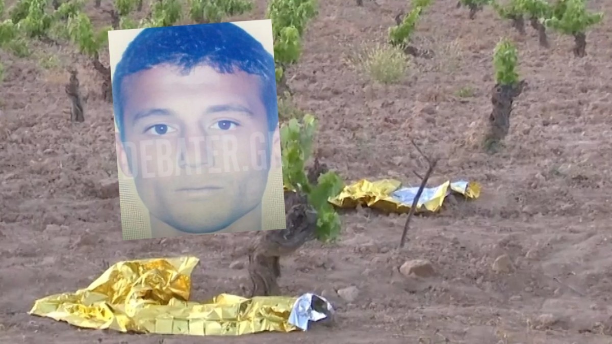Ραφήνα