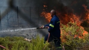 Φωτιά στη Γλυκή Θεσπρωτίας – Τέθηκε υπό πλήρη έλεγχο