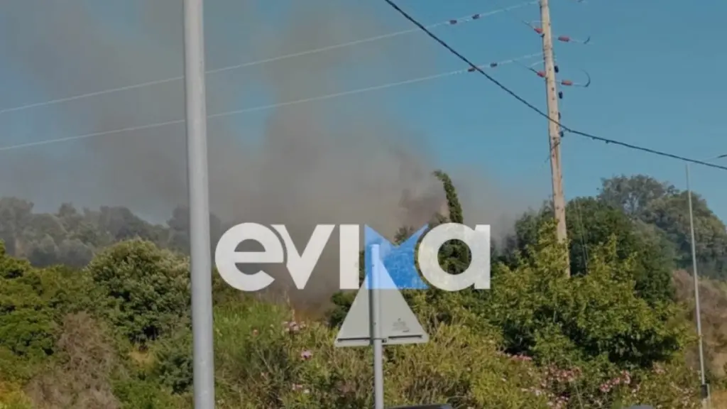 Φωτιά σε δασική έκταση στον Αλμυροπόταμο Ευβοίας
