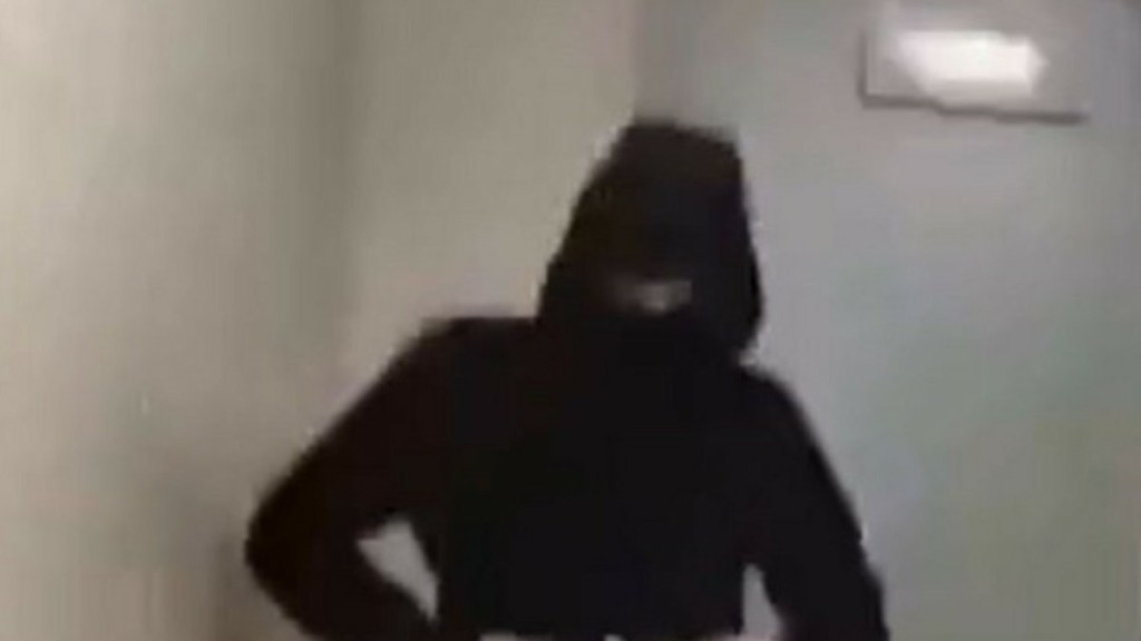Φινλανδία: Η στιγμή που 16χρονος μαχαιρώνει τρεις μαθήτριες σε σχολείο – Βίντεο ντοκουμέντο