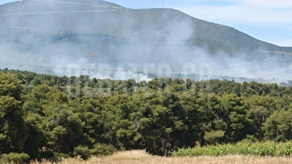 Μεγάλη φωτιά στη Ριτσώνα: Ενισχύθηκαν οι πυροσβεστικές δυνάμεις, επιχειρούν και εναέρια μέσα (Live εικόνα)