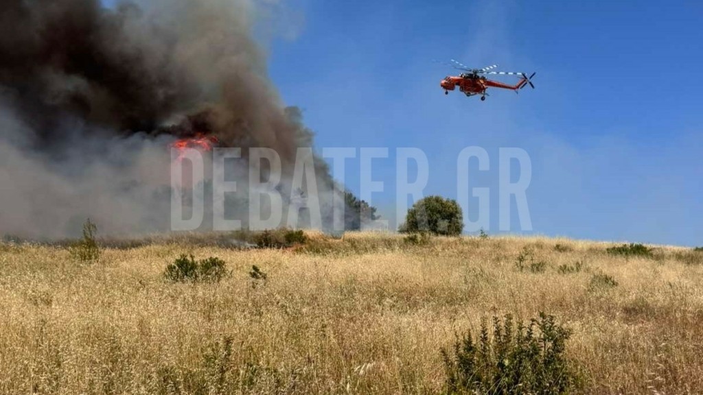 Φωτιά στη Ριτσώνα: Μάχη με τις αναζωπυρώσεις – Συνελήφθη 28χρονος που έκανε αγροτικές εργασίες (Live εικόνα)