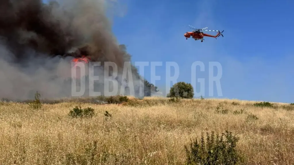 Φωτιά στη Ριτσώνα: Μάχη με τις αναζωπυρώσεις – Συνελήφθη 28χρονος που έκανε αγροτικές εργασίες (Live εικόνα)