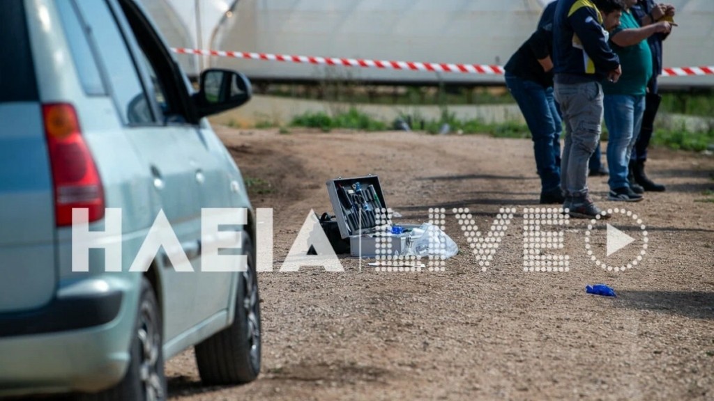 Ηλεία: Στον εισαγγελέα ο 23χρονος Αιγύπτιος που σκότωσε ομοεθνή του σε θερμοκήπιο- Οι Αρχές αναζητούν τα κίνητρα