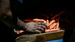 Ηράκλειο: Νεαρή γυναίκα δέχθηκε σεξουαλική επίθεση στο Ηράκλειο – Ο πατέρας της επιτέθηκε στον δράστη