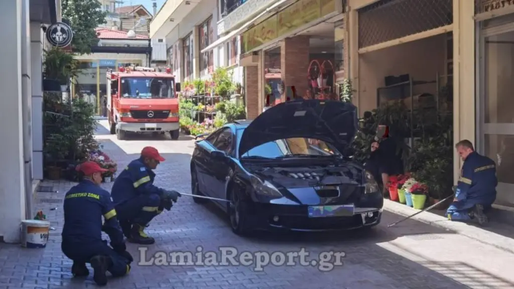 Λαμία: Φίδι κρύφτηκε σε μηχανή αυτοκινήτου – Δεν κατάφεραν να το εντοπίσουν οι πυροσβέστες (Βίντεο)