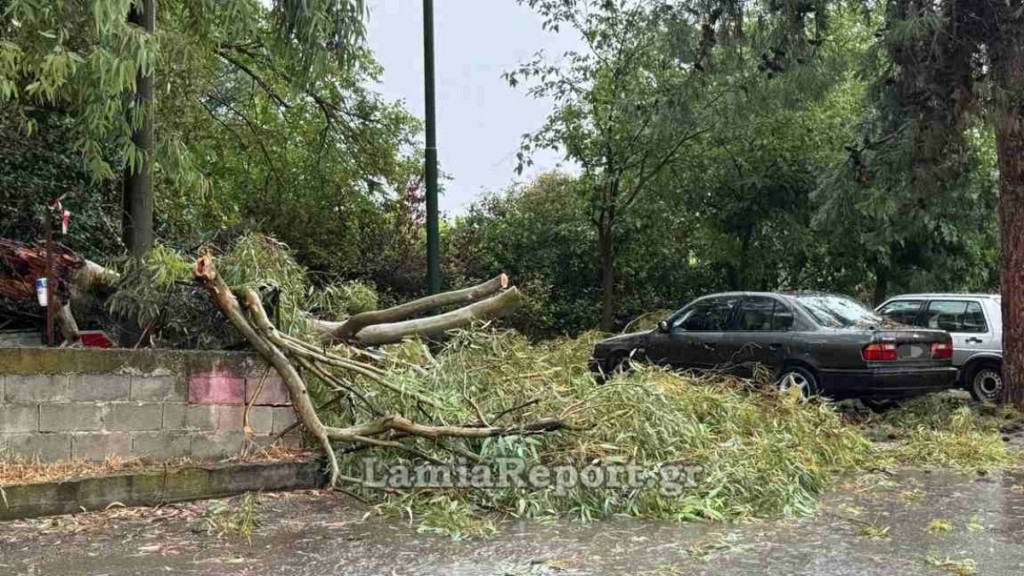 Λαμία: Πολλά προβλήματα από ισχυρό μπουρίνι (Φωτογραφίες)