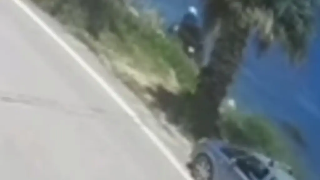 Ζάκυνθος: Γουρούνα έπεσε στη θάλασσα στο Αργάσι – Ελαφρά τραυματίες οι δύο επιβαίνοντες (βίντεο)