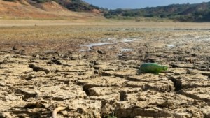 Ο καύσωνας «ψήνει» και την Πολωνία – Νέο ρεκόρ ζέστης με 40,5°C
