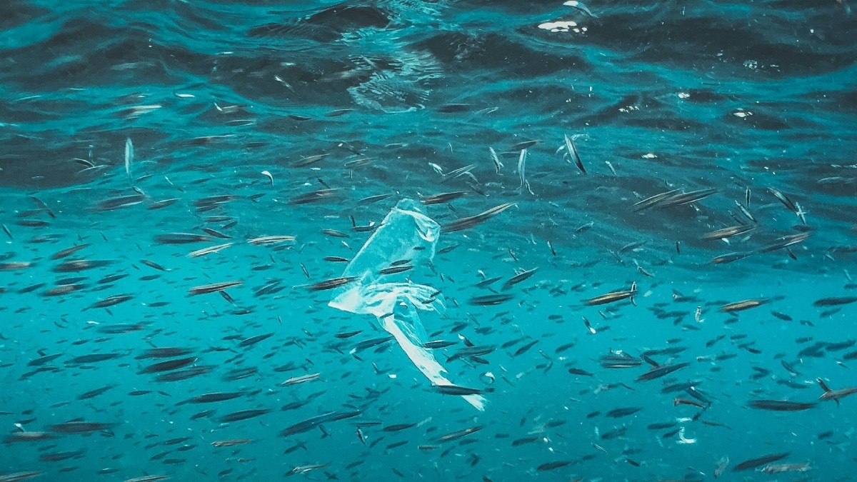 Ιαπωνία