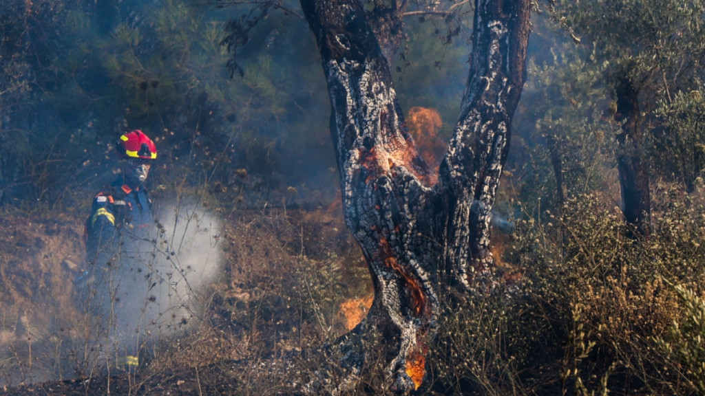Χωρίς ενεργό μέτωπο φωτιάς η Χίος – Ενισχύεται το σενάριο του εμπρησμού, τι βρέθηκε