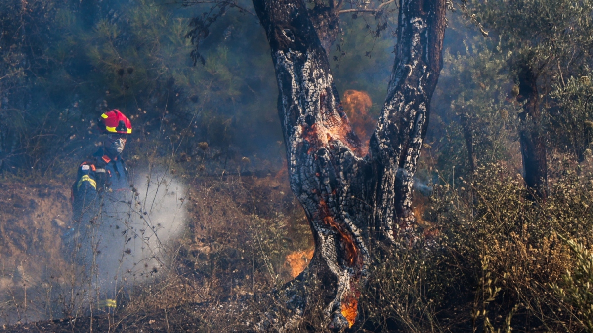 Χωρίς ενεργό μέτωπο φωτιάς η Χίος – Ενισχύεται το σενάριο του εμπρησμού, τι βρέθηκε