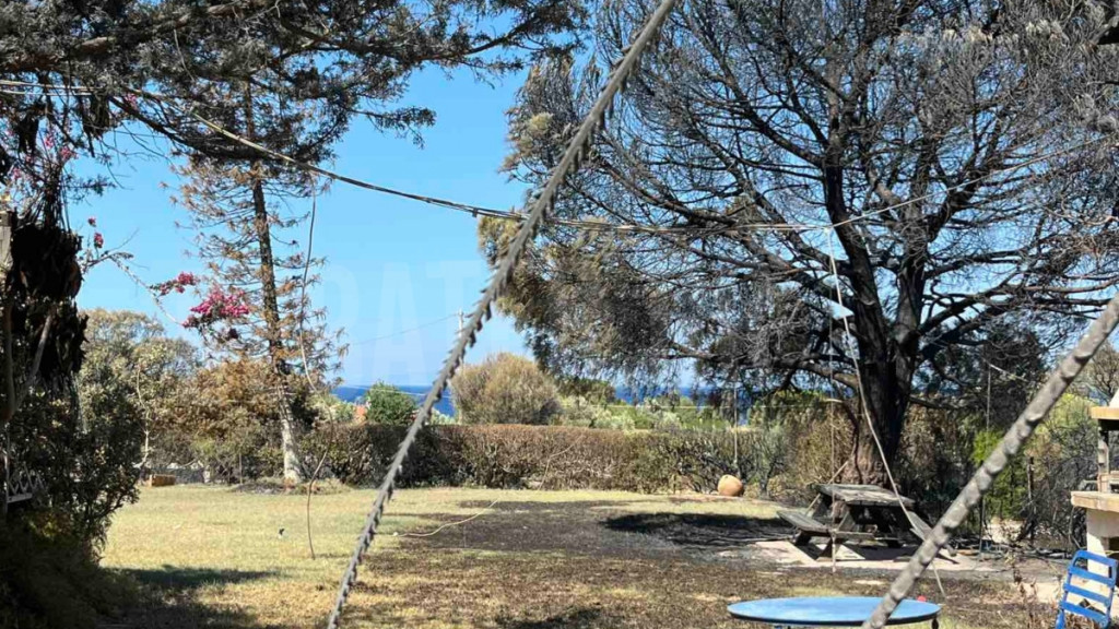 Χριστίνα Σούζη: Αποκαρδιωτικές εικόνες από το καμένο εξοχικό της μετεωρολόγου στο Θυμάρι