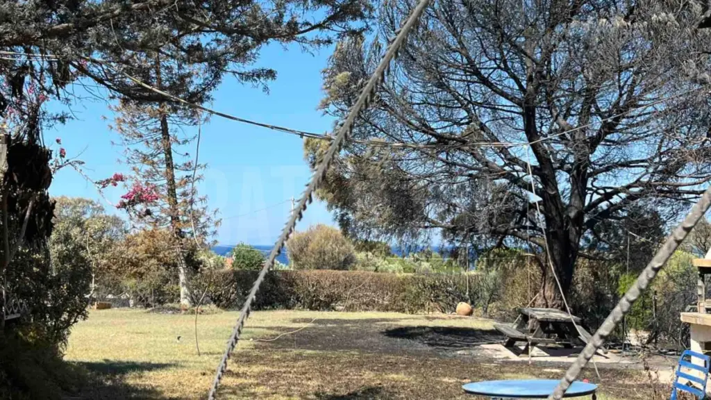 Χριστίνα Σούζη: Αποκαρδιωτικές εικόνες από το καμένο εξοχικό της μετεωρολόγου στο Θυμάρι