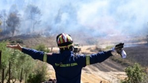 Οριοθετήθηκε η φωτιά στον Μελιγαλά Μεσσηνίας – Ήχησε το 112