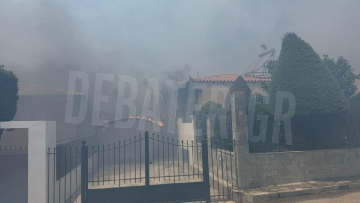 Μεγάλη φωτιά στην Παλαιά Φώκαια – Καίγονται σπίτια, 3 μηνύματα του 112 για εκκενώσεις (Βίντεο)