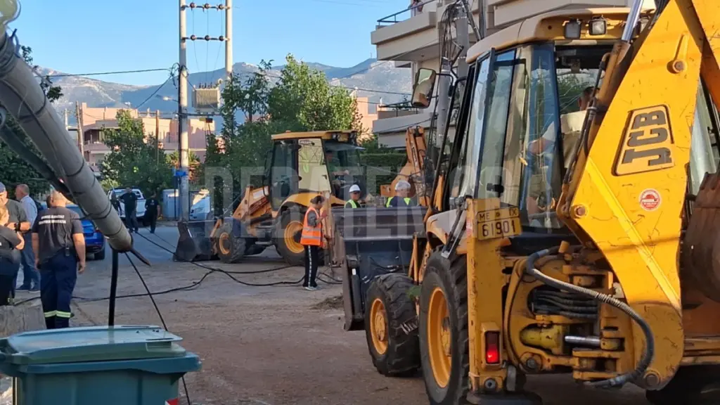 Κηφισιά: Δέντρο έπεσε σε κολόνα της ΔΕΗ (φωτογραφία)