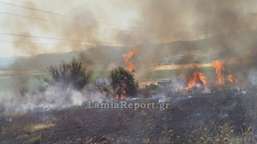 Πυρκαγιά στα Γαβράκια Δομοκού – Σηκώθηκαν εναέρια μέσα (φωτογραφίες)