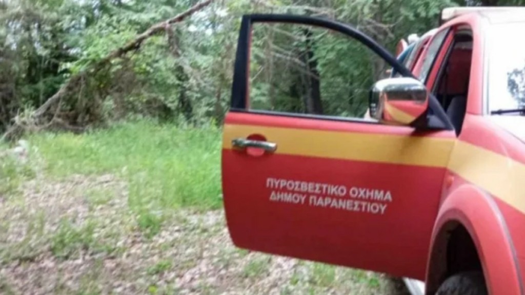 Δράμα: «Του όρμηξε κι εκείνος έπεσε στη χαράδρα» – Τα πρώτα λόγια του ορειβάτη που σκαρφάλωσε σε δέντρο για να σωθεί