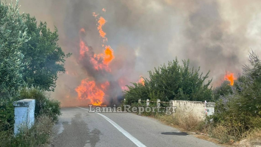 Φωτιά σε γεωργική έκταση στο Αχλάδι Φθιώτιδας – Ήχησε το 112 (Εικόνες & Βίντεο)