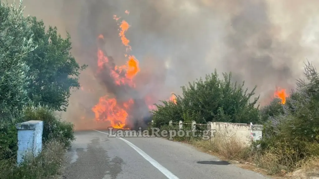 Καλύτερη η εικόνα της φωτιάς στο Αχλάδι Φθιώτιδας – Ήχησε το 112 (Εικόνες & Βίντεο)
