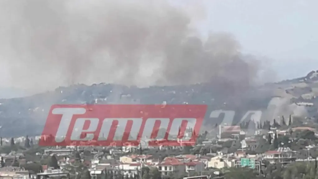 Πάτρα: Φωτιά σε χαμηλή βλάστηση στην Περιμετρική Οδό (Φωτογραφία)