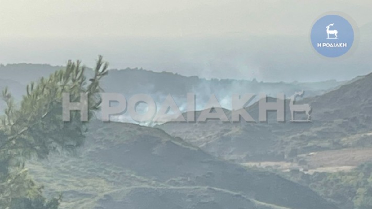Φωτιά σε αγροτοδασική έκταση στον Θεολόγο Ρόδου – Επιχειρούν 3 αεροσκάφη