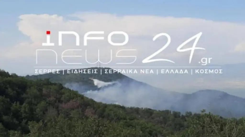 Φωτιά στις Σέρρες: Ενισχύθηκαν οι δυνάμεις – Επιχειρούν 86 πυροσβέστες (Φωτογραφίες & Βίντεο)