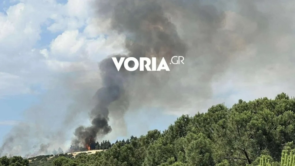 Φωτιά σε δασική έκταση στη Θεσσαλονίκη κοντά στο νοσοκομείο Παπαγεωργίου – Ήχησε το 112 (Βίντεο)