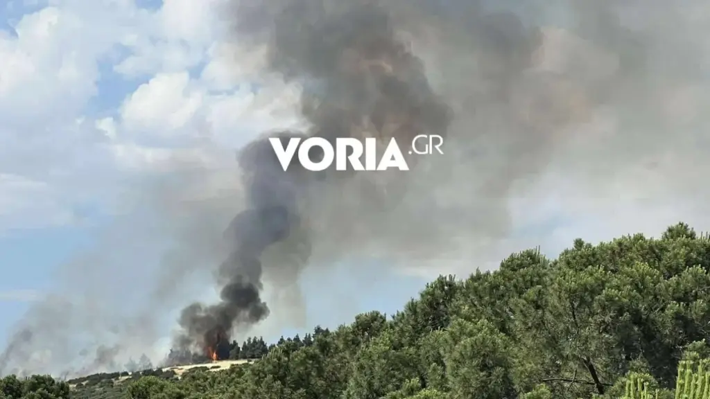 Φωτιά σε δασική έκταση στη Θεσσαλονίκη κοντά στο νοσοκομείο Παπαγεωργίου – Ήχησε το 112 (Βίντεο)