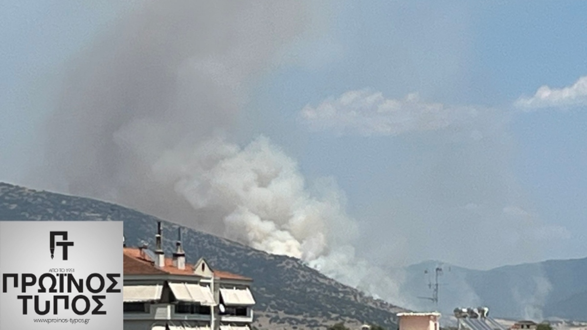 Μεγάλη φωτιά στη Χωριστή Δράμας – Επιχειρούν εννιά εναέρια μέσα