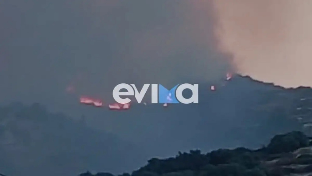 Φωτιά στην Κάρυστο Ευβοίας – Ενεργοποιήθηκε το 112 (βίντεο+φωτογραφίες)