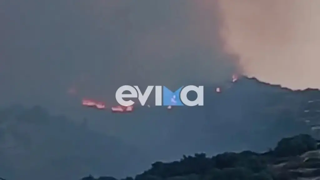 Υπό μερικό έλεγχο η φωτιά στην Κάρυστο Ευβοίας – Ενεργοποιήθηκε το 112 (βίντεο+φωτογραφίες)