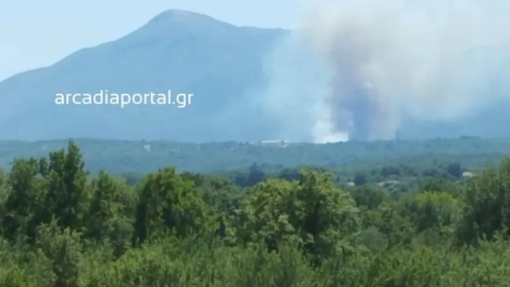 Πυρκαγιά στη Βελιγοστή Αρκαδίας – Σηκώθηκαν έξι εναέρια μέσα (βίντεο)