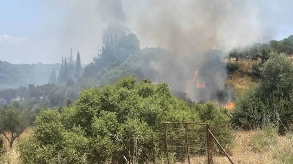 Πυρκαγιά στο Χαρακοπιό Μεσσηνίας – Σηκώθηκαν εναέρια μέσα