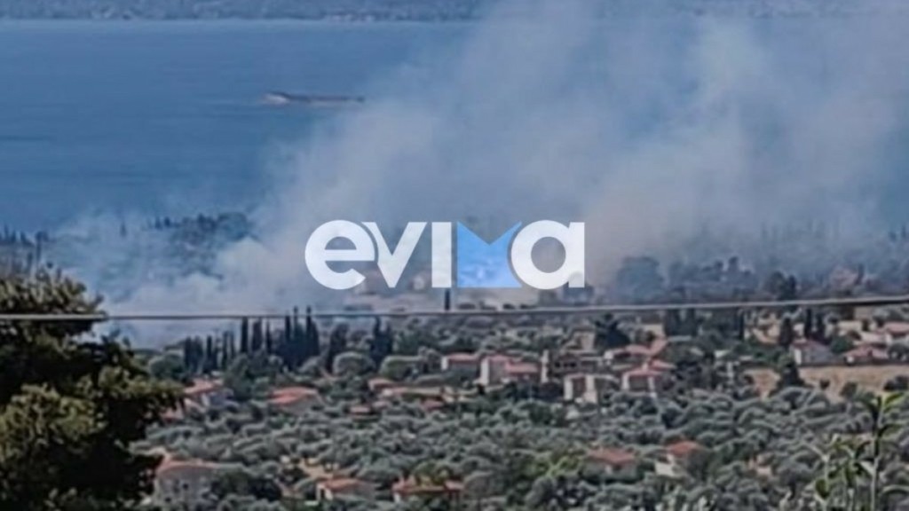Υπό μερικό έλεγχο η φωτιά στη Μαγούλα Ερέτριας – Δεν απειλούνται κατοικημένες περιοχές (βίντεο+φωτογραφίες)