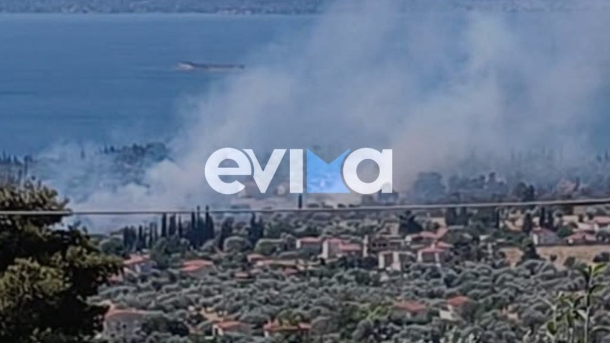 Υπό μερικό έλεγχο η φωτιά στη Μαγούλα Ερέτριας – Δεν απειλούνται κατοικημένες περιοχές (βίντεο+φωτογραφίες)