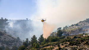 Μεσσηνία: Φωτιά στην Πολυθέα –  Σηκώθηκαν 8 εναέρια μέσα, μήνυμα από το 112 για εκκένωση της περιοχής του Κρυονερίου