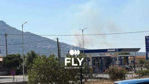 Φωτιά στην Λακωνία: Καλύτερη εικόνα στο Λευκόχωμα – 4 εναέρια στην μάχη της κατάσβεσης