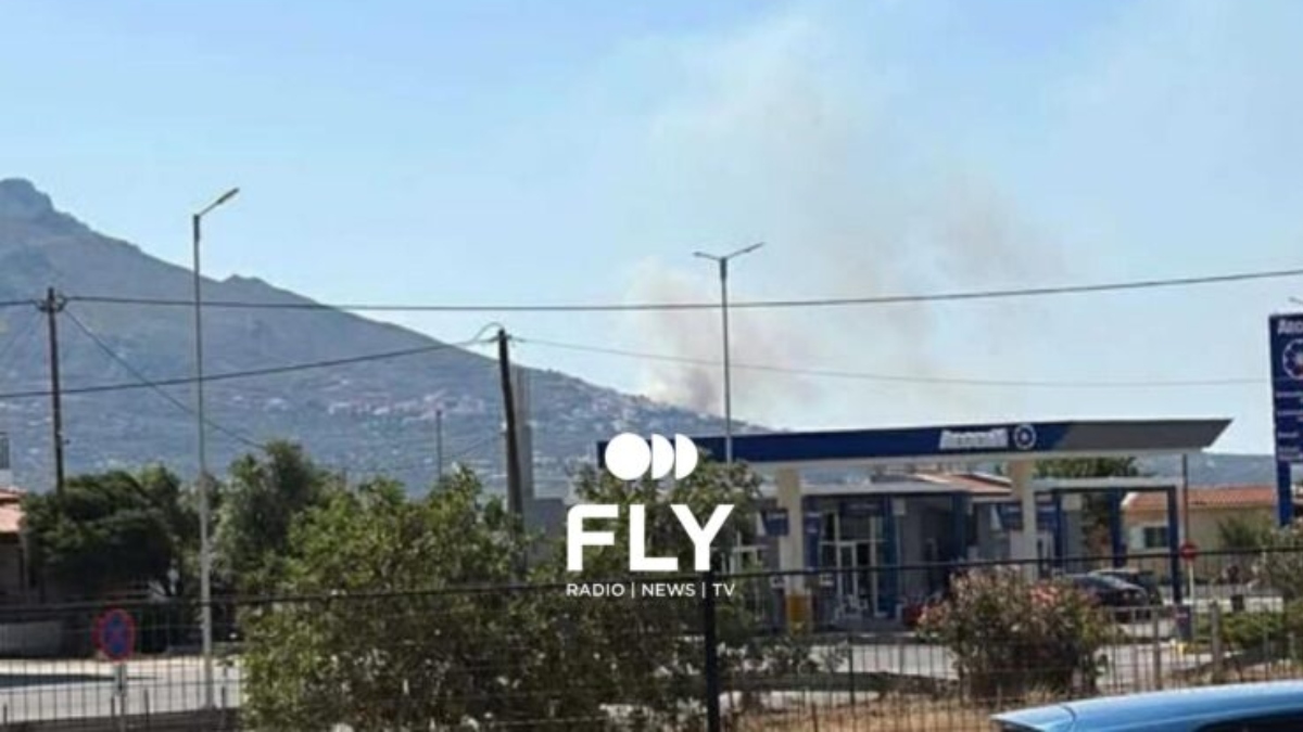 Φωτιά στη Λακωνία, κοντά στον Άγιο Νικόλαο – Σηκώθηκε τρία εναέρια μέσα