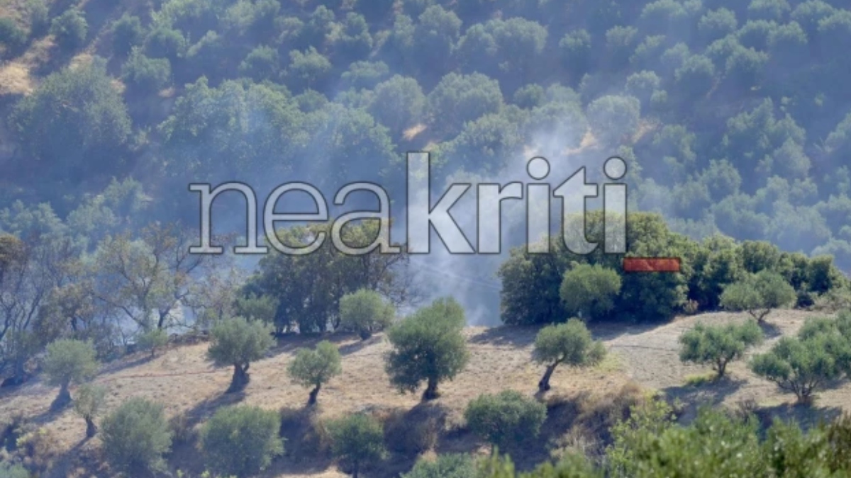 Υπό έλεγχο η φωτιά στους Κάτω Ασίτες Ηρακλείου – Ισχυρές αστυνομικές δυνάμεις στο σημείο (βίντεο+φωτογραφίες)
