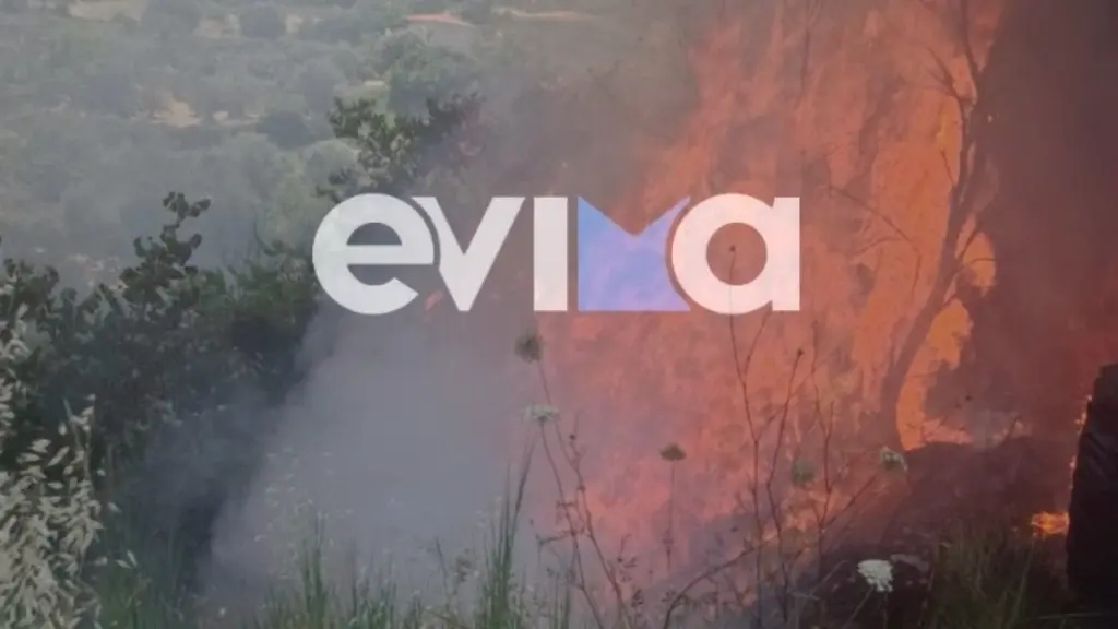 Φωτιά στην Πλατάνα Ευβοίας – Αγροτικό μηχάνημα τυλίχθηκε στις φλόγες (φωτογραφία)