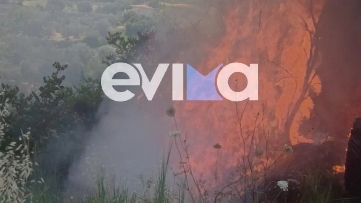 Φωτιά στην Πλατάνα Ευβοίας – Αγροτικό μηχάνημα τυλίχθηκε στις φλόγες (φωτογραφία)