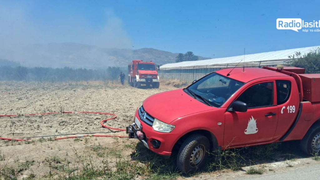 Φωτιά στα Λιβάδια Λασιθίου έξω από την Ιεράπετρα (φωτογραφία)