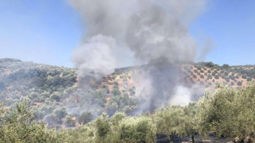 Φωτιά στη Λάμπαινα Μεσσηνίας – Στη μάχη δύο αεροσκάφη