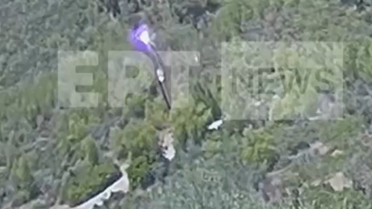 Φωτιά στον Μαραθώνα: Πώς κάηκαν 350 στρέμματα δάσους – Η στιγμή του βραχυκυκλώματος που προκάλεσε την φωτιά (Βίντεο)